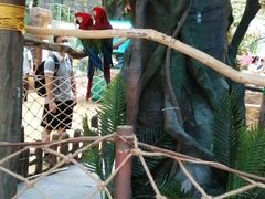 -蜀香楼火锅(长安哥伦布店)