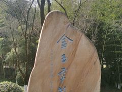 -西南政法大学(渝北校区)