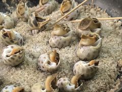 -万家海鲜饭店