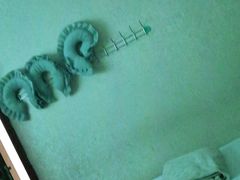 -大观园影院式足浴Spa店(沙坪坝店)