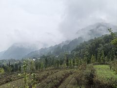 -太阳湾风景区