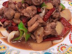 -巴依老爷新疆美食(望京小街店)