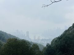 -南山植物园