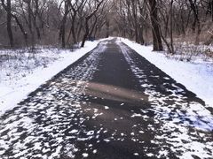 -北陵公园