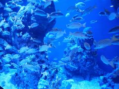 -成都浩海立方海洋公园