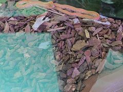 -万达广场(龙湖店)