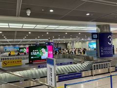 -合肥新桥国际机场-航站楼