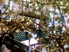 -山有花啡餐厅(常营总店)