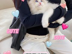 -lincat·猫舍(广州店)