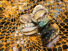 -海鲜e族(马王堆店)