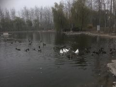 -中家鑫园温泉酒店鑫悦汤泉