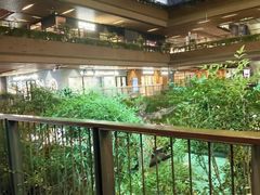 -瑞虹新天地月亮湾