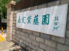 -嘉定紫藤园