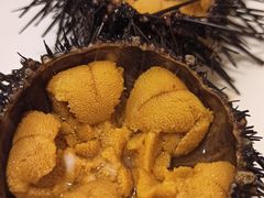 -海胆小馆(东北水饺·春柳店)