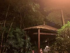 -青城道汤池