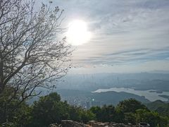 -梧桐山风景名胜区