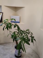 -美丽人生祛斑扁平疣汗管瘤中心