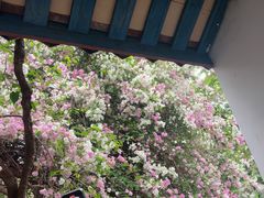 -深圳国际园林花卉博览园