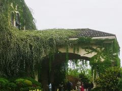 -府河摄影公园