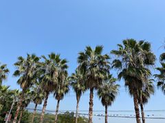 -双龙潭生态运动景区