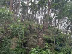 -黔灵山公园