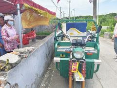 -南汇水蜜桃采摘(大团店)