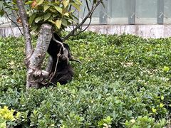 -廊坊固安福朋喜来登酒店