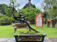 -中山詹园