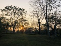 -顺峰山公园