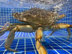 -一江春水·杭帮臻宴(三台山店)