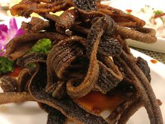 -新聚丰菜馆(太监弄店)
