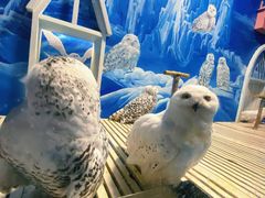 -成都浩海立方海洋公园