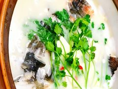 -宝荣鱼馆·临湖之宴(千岛湖店)