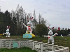 -东平国家森林公园