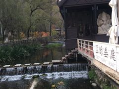 -Local泰莲庭(虹鳟鱼店)