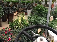 -三圣花乡旅游区