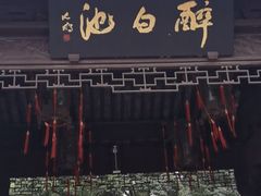 -上海醉白池公园