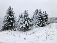 -太子岭滑雪场