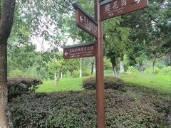 -八大山人梅湖景区