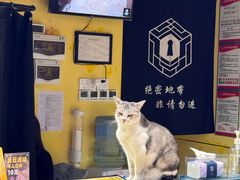 -谜盒子奇幻密室(南屏店)
