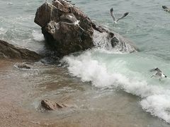 -海驴岛(荣成市)