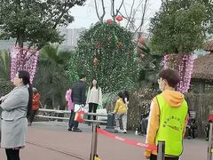 -枫香湖儿童公园