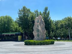 -绿堤公园