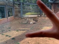 -昆明动物园