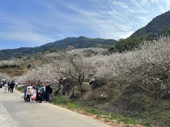 -广州市流溪河国家森林公园