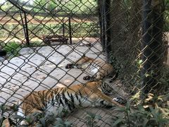 -海南热带野生动植物园