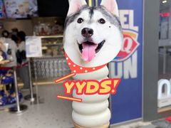 -DQ·蛋糕·冰淇淋(天一2店)