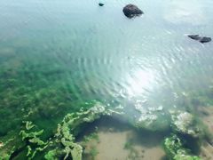 -美兰湖景区