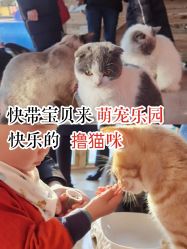 -萌宠亲子动物乐园(槐房万达店)