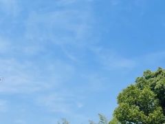 -胜华驾校·小猫学车(银都店)